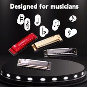 Resim 1 Adet 10 Delikli Titanyum Altın Mini Metal Mızıka, Öğrenciler ve Yetişkinler İçin Başlangıç Dostu Müzik Aleti – Siyah Klasik Tasarımla Hayalindeki Melodilerinizi Çıkarın! 