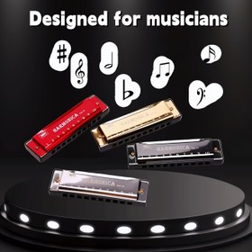 Resim 1 Adet 10 Delikli Titanyum Altın Mini Metal Mızıka, Öğrenciler ve Yetişkinler İçin Başlangıç Dostu Müzik Aleti – Siyah Klasik Tasarımla Hayalindeki Melodilerinizi Çıkarın! 