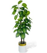 Resim Yapay Çiçek Difenbahya Sarı Yeşil 3katlı 160cm 54yaprak Gold Kemerli Beyaz Saksıda Yapay Bitki 