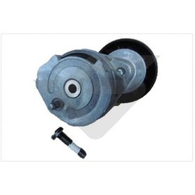 Resim Hutchınson T0659 - Alternatör Gergi Rulmanı Kütüklü Volvo S60 Iı 