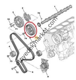 Resim Peugeot 407 (2004-2011) 2.0 Hdi Eksantrik Dişlisi (42 Diş) (Orijinal) 
