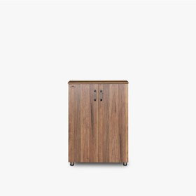 Resim Ayakkabılık Çok Amaç Model Parlak Ceviz Hard Suntalem Demonte 5R (422730609) Ceviz 