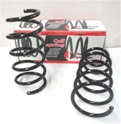 Resim Dacıa Logan- 2004-2008- Ön Helezon Yayı Sağ Taraf /sol Taraf 2li Set 13x147 Stdr 