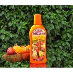 Resim Çiçek Coşturan Mevsimlik Fide Gül Bahçe Bitkileri Için 