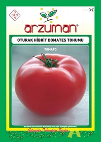 Resim Kutlu F1 Oturak Domates Tohumu 1O Ad Tohum 