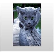 Resim Gri Kedi Kanvas Tablo 80x40 