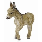 Resim Collecta Sıpa 