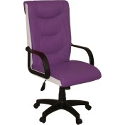 Resim Türksit Efe Makam Koltuk Lila Beyaz 