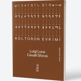 Resim Kültürün Evrimi 