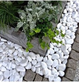 Resim Asenya Beyaz Dolomit Taş 4 Kg 4-6 Cm Dekoratif Taş Bahçe Süs Taşı Doğal Dere Çakıl Taşı 