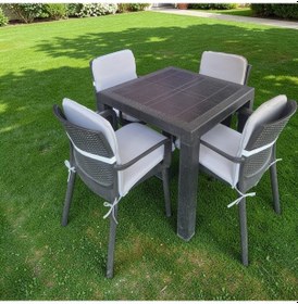 Resim Sandalye Minderi Yıkanabilir Fermuarlı Lastikli 6'lı Açık Gri 4 Cm Sünger Alt 42x42 Sırt 42x42 