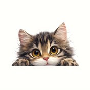 Resim Sevimli Kedi Desenli Anahtarlık Işığı - Çıkarılabilir, Kendinden Yapışkanlı Duvar Stickerı Yatak Odası, Oturma Odası & Banyo Dekoru için 