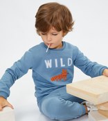 Resim Erkek Bebek Sweatshirt Tilki İşleme Detaylı Uzun Kollu Bisiklet Yaka Pamuklu 