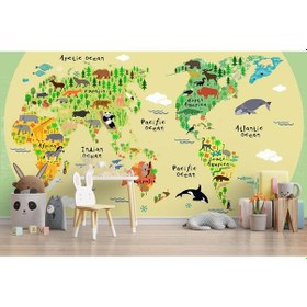 Resim Eğitici Dünya Haritası Dünya Atlası Çocuk Ve Bebek Odası Duvar Sticker-60x105-3772 - Renkli Çok Renkli 
