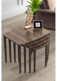 Resim Canisa Telwe Seris Ceviz Mdf 4lü Zigon Sehpa Takımı Gürgen Ahşap Ayaklar Sehpa Ceviz 