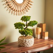 Resim Objevi Dekoratif Saksılı Bonsai Meri Yapay Çiçek - Beyaz / Yeşil - 20x20x36 cm 