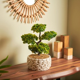 Resim Objevi Dekoratif Saksılı Bonsai Meri Yapay Çiçek - Beyaz / Yeşil - 20x20x36 cm 