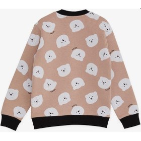 Resim Breeze Kız Çocuk Sweatshirt Ayıcık Desenli 1.5-5 Yaş, Bej-bej Bej 
