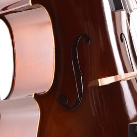 Resim Manuel Raymond MC34DC Çello (3/4 Parlak) | Parlak Vernik Göz Alıcı Görünüm 