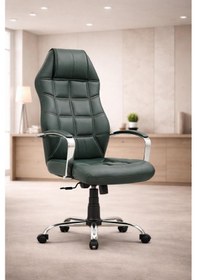 Resim Aven Premium Yönetici Ofis Ve Büro Koltuğu Anatomik Tasarım Lüks Oturum Konforu Haki 