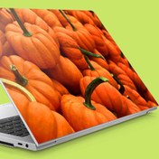 Resim Balkabakları Notebook Sticker, Laptop sticker,, Hp Sticker, Asus Sticker, 15.6 inç Sticker 