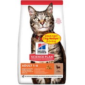 Resim Hill′s Lamb Kuzulu Yetişkin Kedi Maması 8+2 Kg (Toplam 10 Kg) + Schesir Stix Krema Kedi Ödülü 