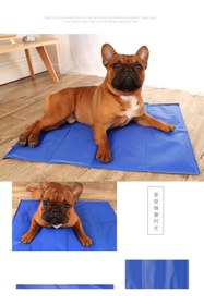 Resim Duffa Kedi Köpek Soğutucu Mat Çift Taraflı Serinletici Yatak Pet Cool Mat Kedi Köpek Serinletici Mat L Boy 