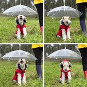 Resim Küçük Köpekler için Şeffaf Şemsiye Tasma - Yağmurlu Günlerde Vazgeçilmez Aksesuar 