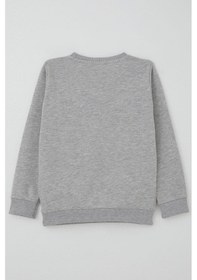 Resim Breeze Erkek Çocuk Sweatshirt Yazı Nakış Baskılı 5-10 Yaş, Gri Melanj Gri Melanj 