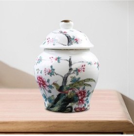 Resim Lijinxu Magideal Çin Seramik Zencefil Kavanoz Porselen Tapınak Stil A Çok Renkli 