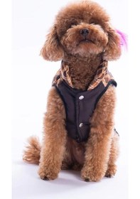 Resim Pawstar Kahverengi Elgin Paws Su İtici Küçük Irk Köpek Puf Yelek Yağmurluk 