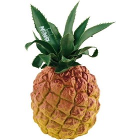 Resim Nino 595 Ananas Görünümlü Shaker 
