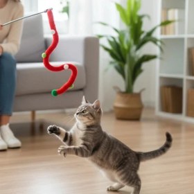 Resim Tp Buğz Süs Tasarımlı Kedi Oltası 