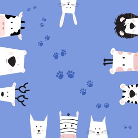 Resim Paws and Claws Pamuk Saten Çok Renkli Çocuk Çarşaf Seti 90x190cm 