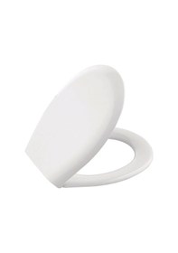 Resim Süngerli Klozet Kapağı Oval Renkli 