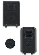 Resim Lastvoice LPM-08 8" 350W Ahşap Profesyonel Kabin Hoparlör 