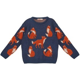 Resim Denokids Mshb&g Tilki Erkek Çocuk Lacivert Triko Kazak Çok Renkli 