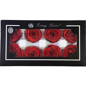 Resim Şoklanmış Kırmızı Gül Kafası 8'li 