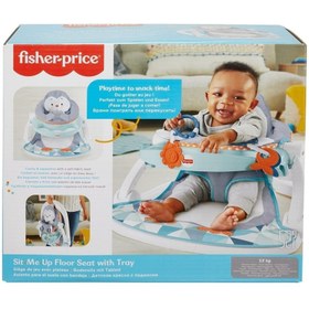 Resim Fisher Price Tepsili Ana Kucağı 
