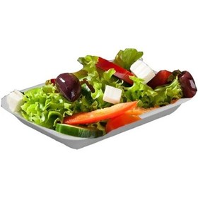 Resim Anı Plastik Anı-2-l Tek Bölmeli Köpük Tabak Anı Mod 2 500 Gr 250'li 