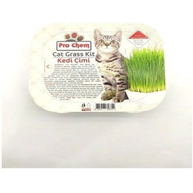 Resim Pro Chem Kedi Çimi Yetiştirme 