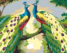 Resim Sayılarla Boyama Seti - Tavus Kuşu - 60x75 