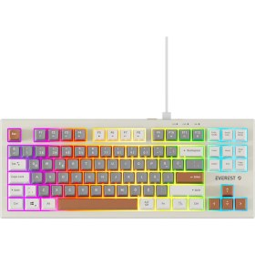 Resim Everest KB-98 SILENT TKL Gri Mavi/Gri/Kahve Rainbow Q Membrane Klavye 