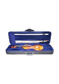 Resim Mandikian Vg200-H Profesyonel Keman Dörtköşe Kutulu 4/4 