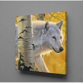 Resim Beyaz Kurt Kanvas Tablo 200x200cm 