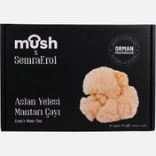 Resim Aslan Yelesi Mantarı Çayı (Hericium Erinaceus) 
