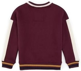 Resim U.S. Polo Assn. Erkek Çocuk Bordo Sweatshirt 50289144-VR014 