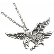 Resim Uçan Kartal Erkek Kolye Animal Takı Aksesuar K24 T5 