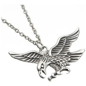 Resim Uçan Kartal Erkek Kolye Animal Takı Aksesuar K24 T5 