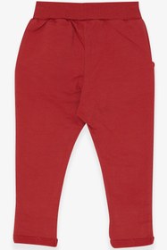 Resim Breeze Erkek Bebek Eşofman Altı Armalı Basic 9 Ay-3 Yaş, Kiremit 